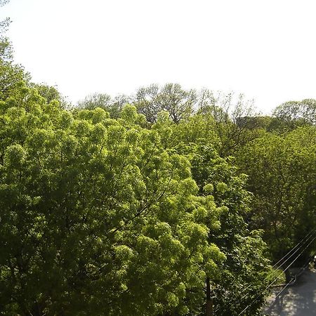 Central Park Family Hotel Kavarna Eksteriør bilde