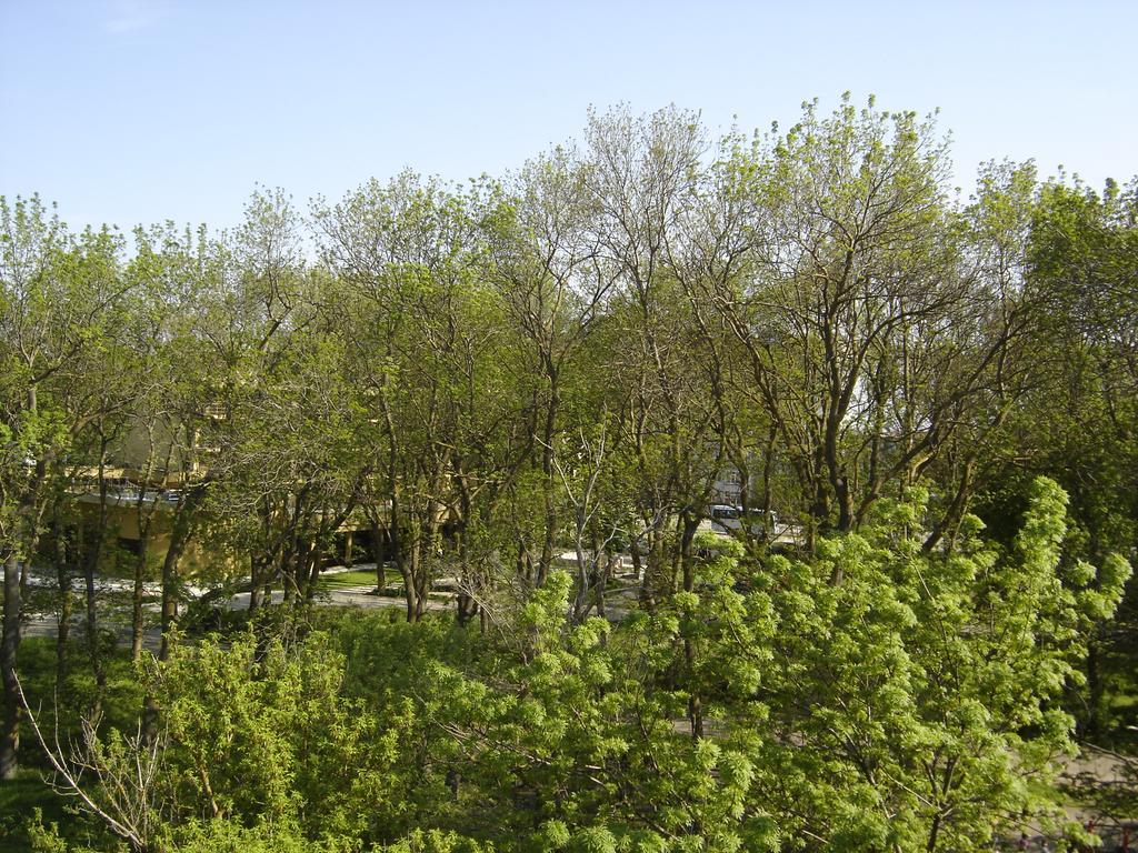Central Park Family Hotel Kavarna Eksteriør bilde