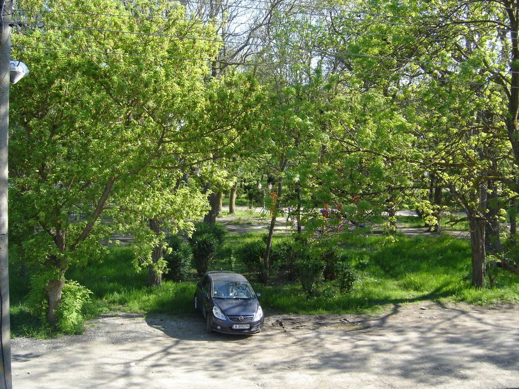 Central Park Family Hotel Kavarna Eksteriør bilde